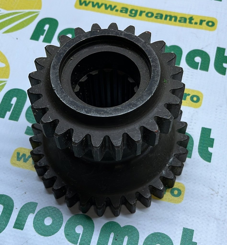 Pinion Z24/31