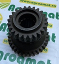 Pinion Z24/31