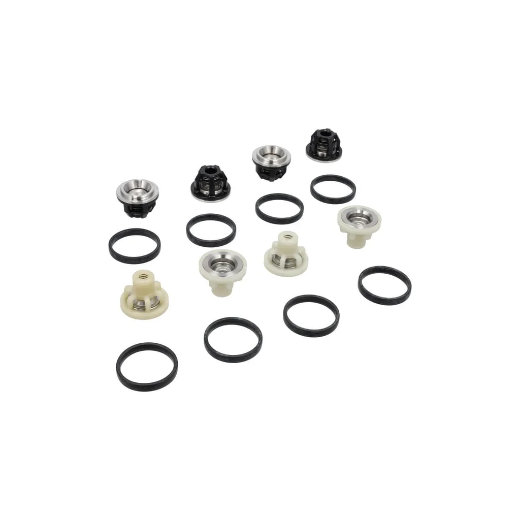 Kit complet ansamblu supapă 50250074