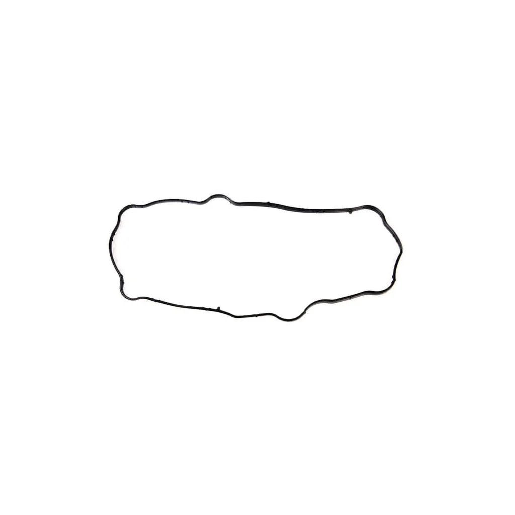 Garnitura capacului supapei 504177226FPT