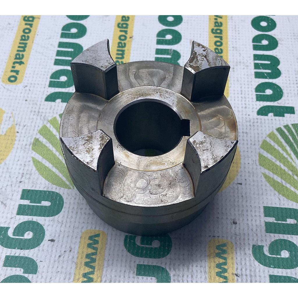 Butuc 771337.1