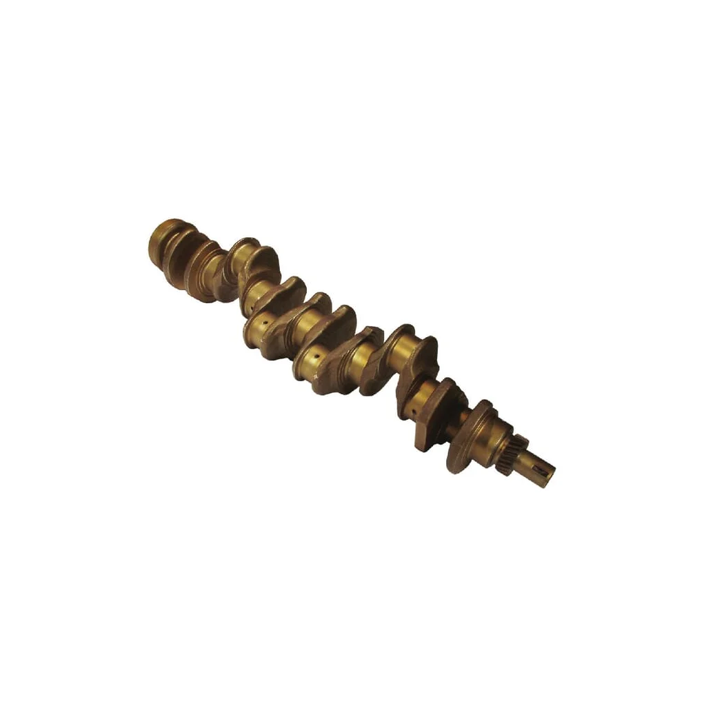 Arbore cotit 504203869FPT