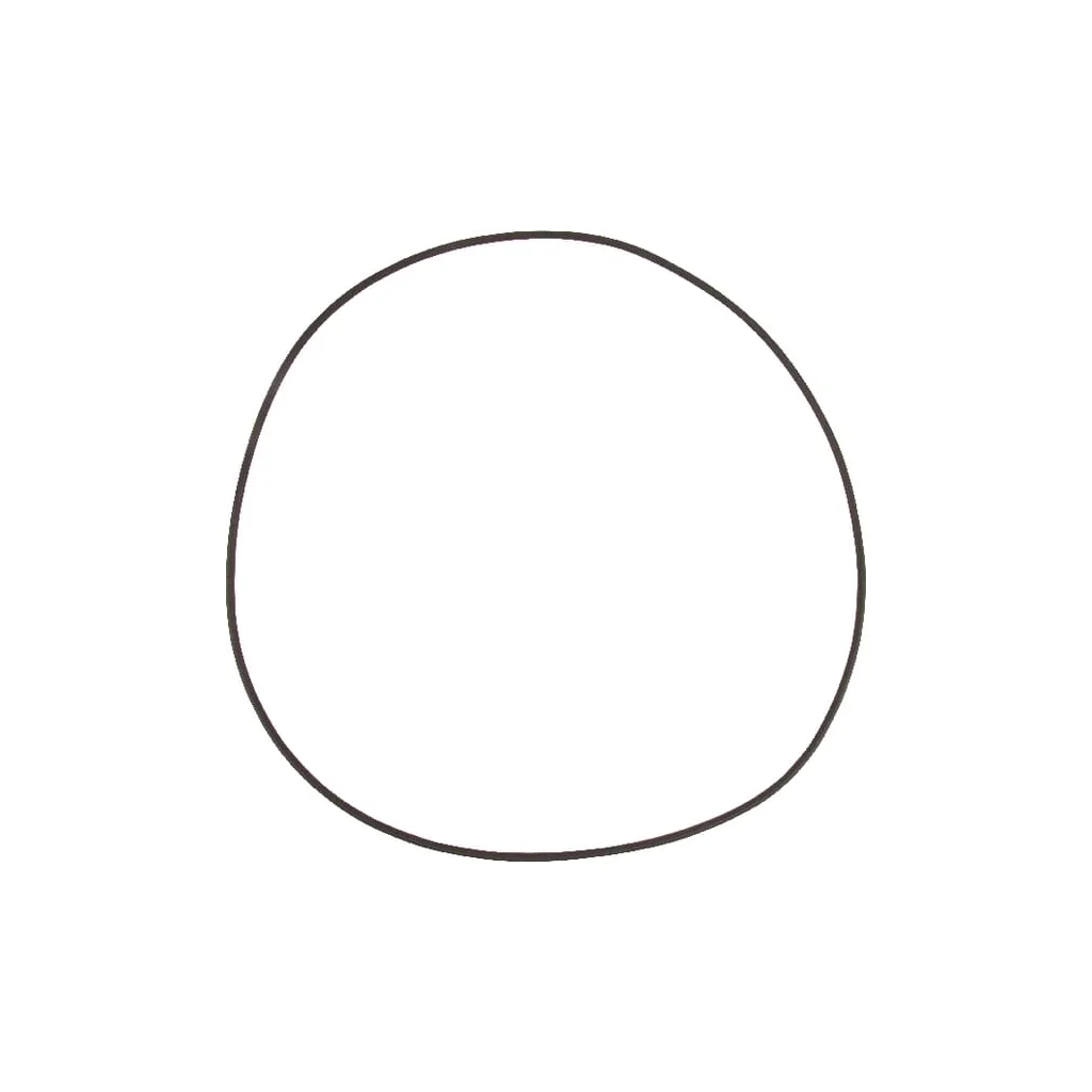 O-ring 5030210062