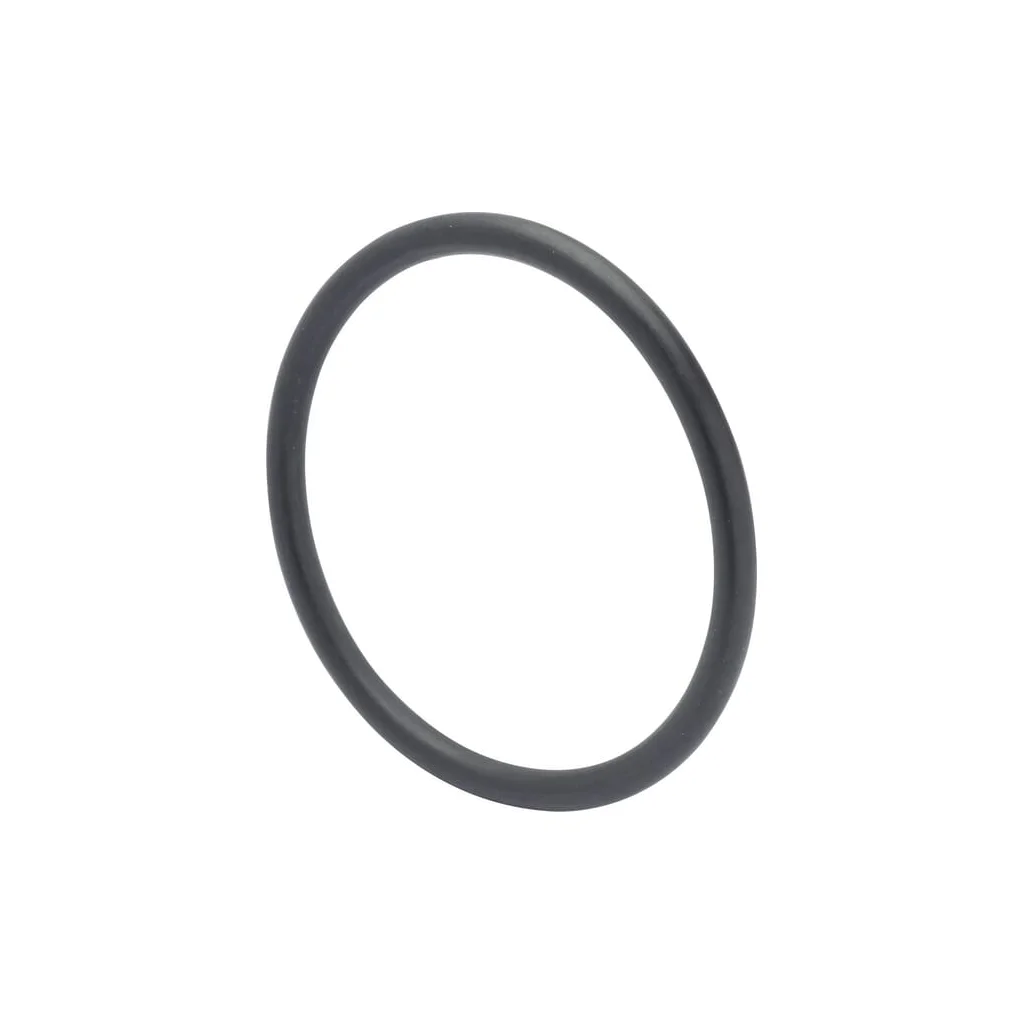 O-ring 510204N
