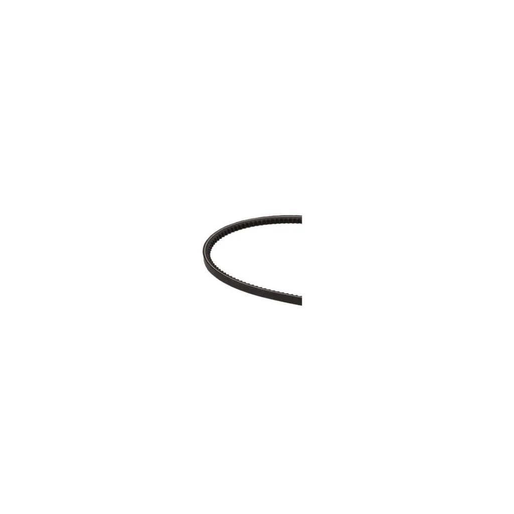 Curea trapezoidală 4809679FPT