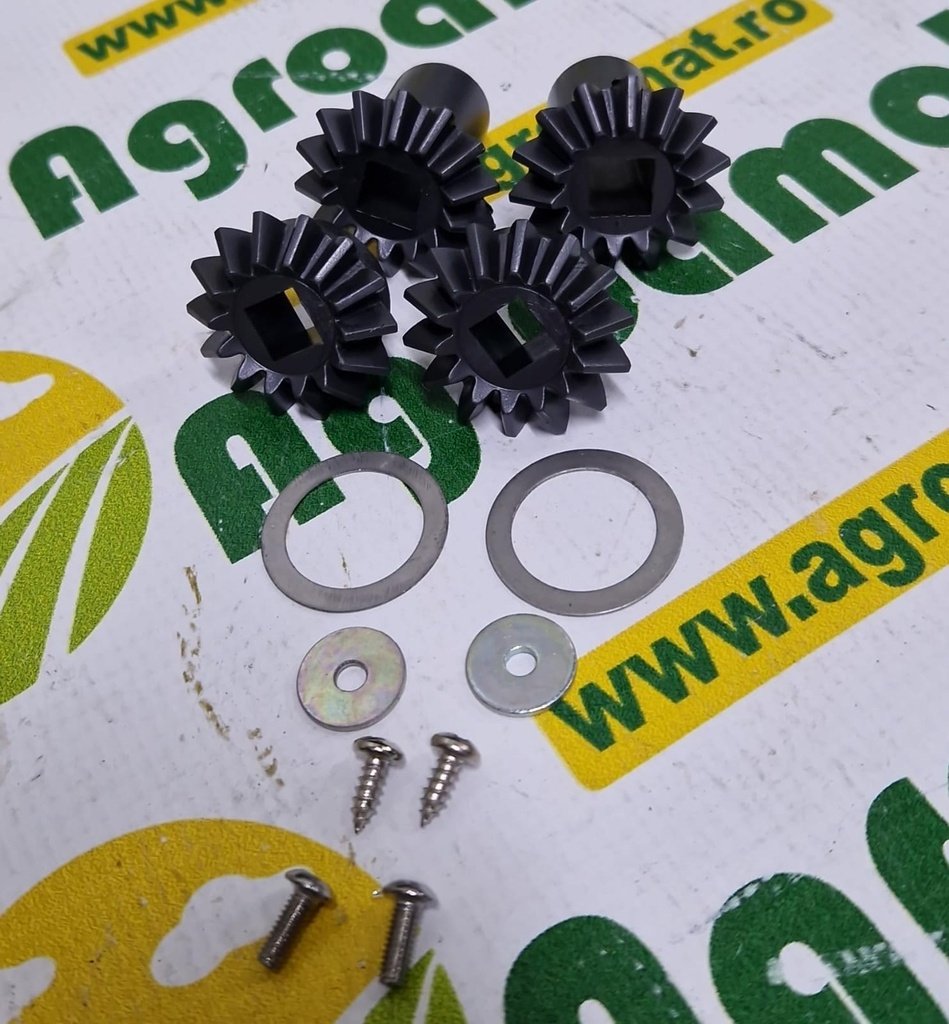 Set Pinion G20890211R