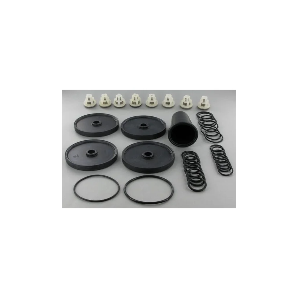 Set de revizie APS 96 Comet 50260087