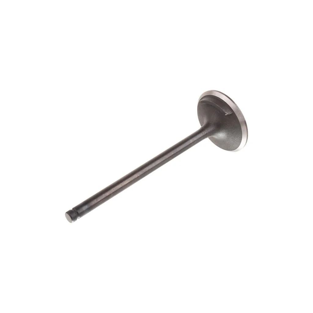 Supapă de admisie motor 4821710