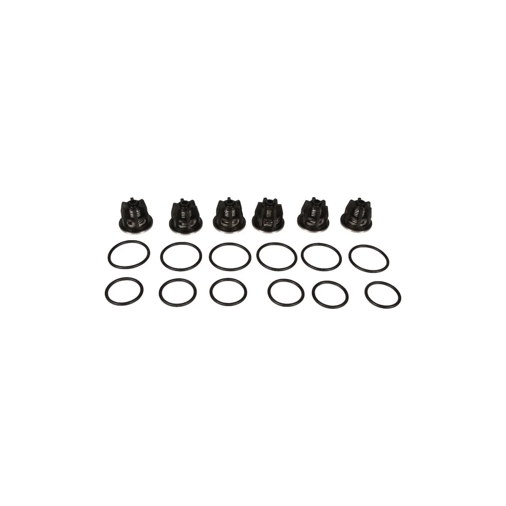 Set supape Bertolini 489805973
