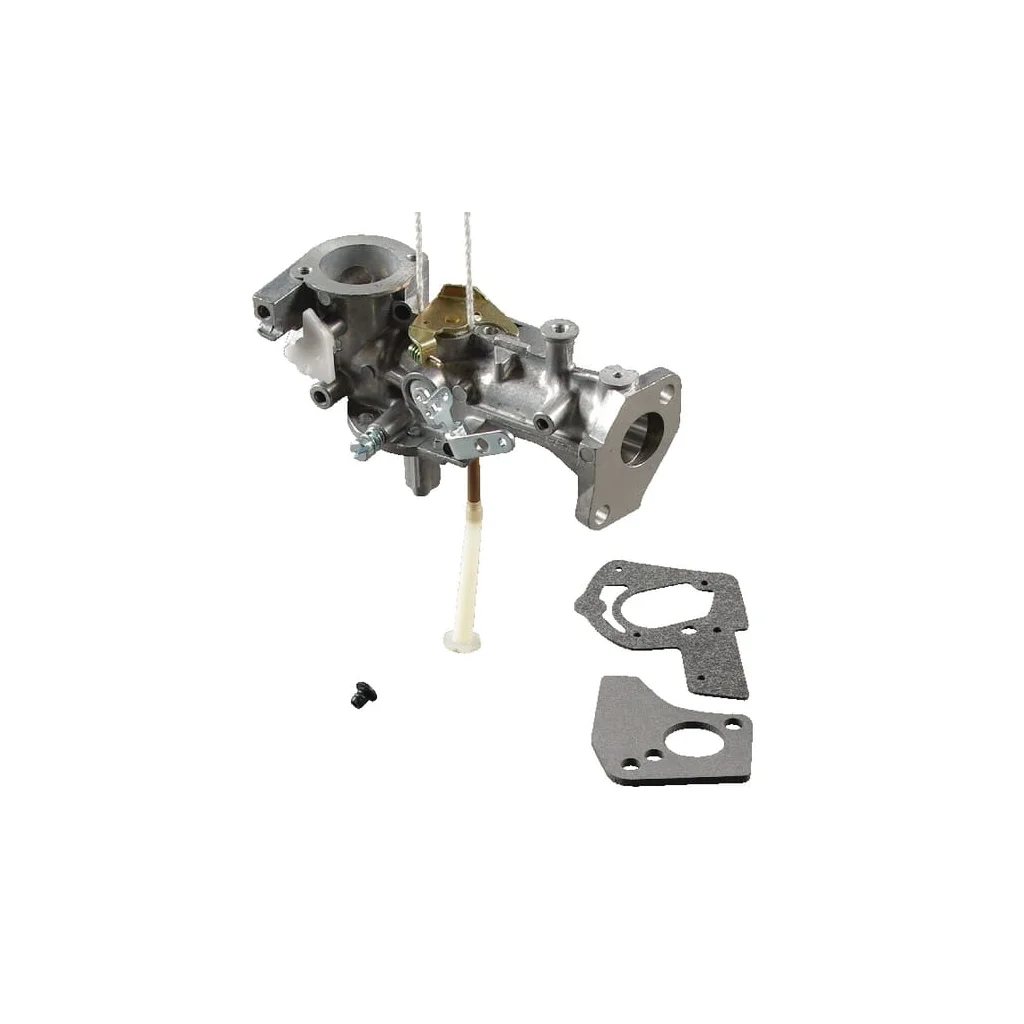 Carburator 495459
