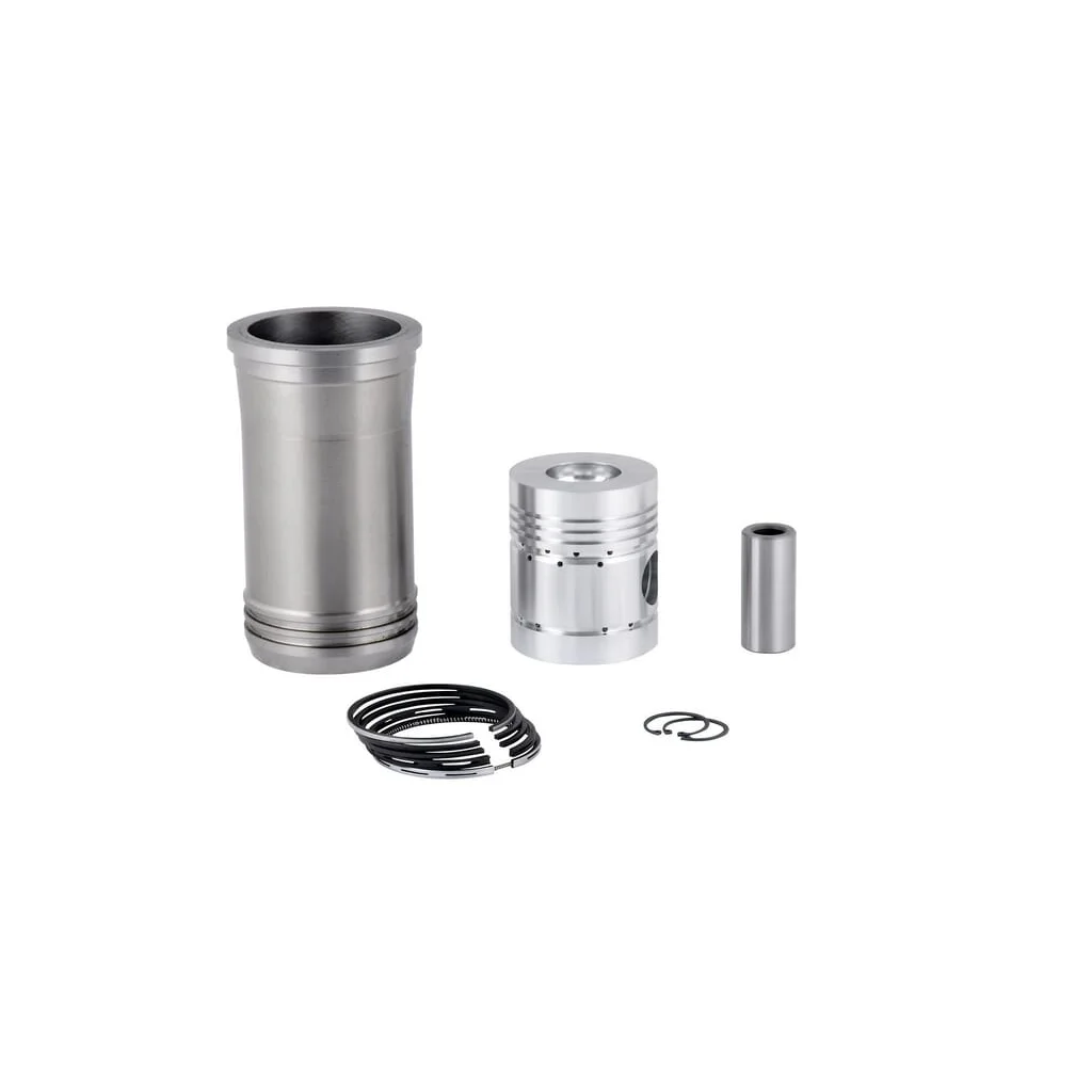 Set reparație motor potrivit pentru C-360 5050116N