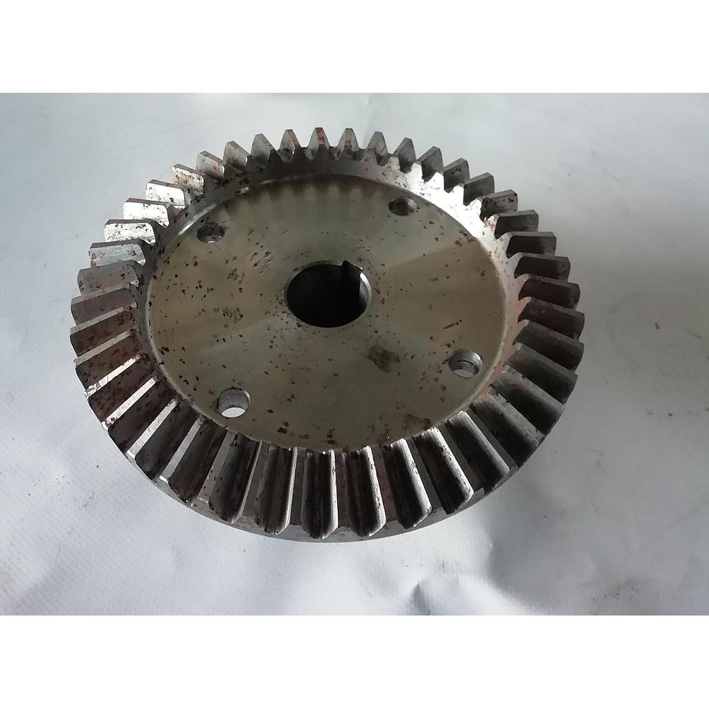 Pinion 813561 Z42