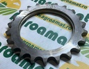 Pinion Org Z-22