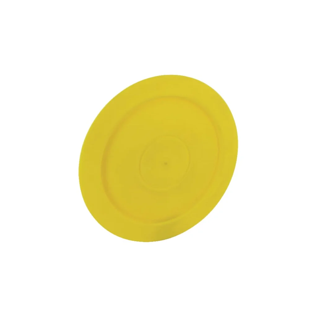 Capac butuc diametru 150 4905521