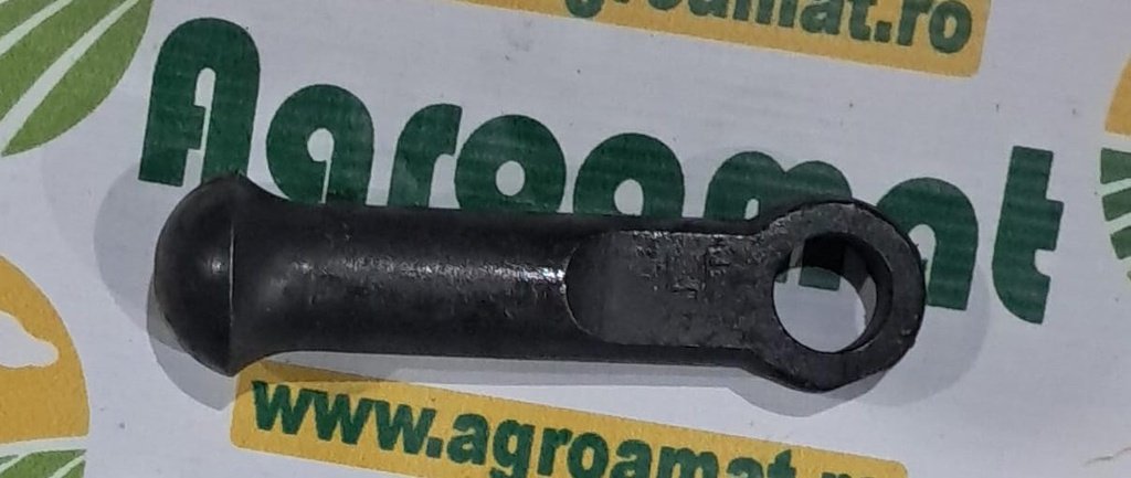 Biela 4981484