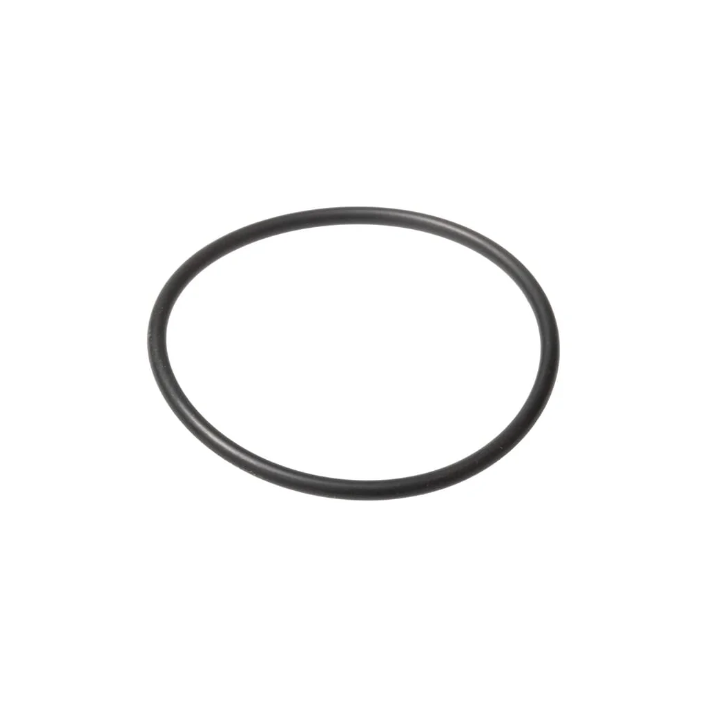 O-ring 579359