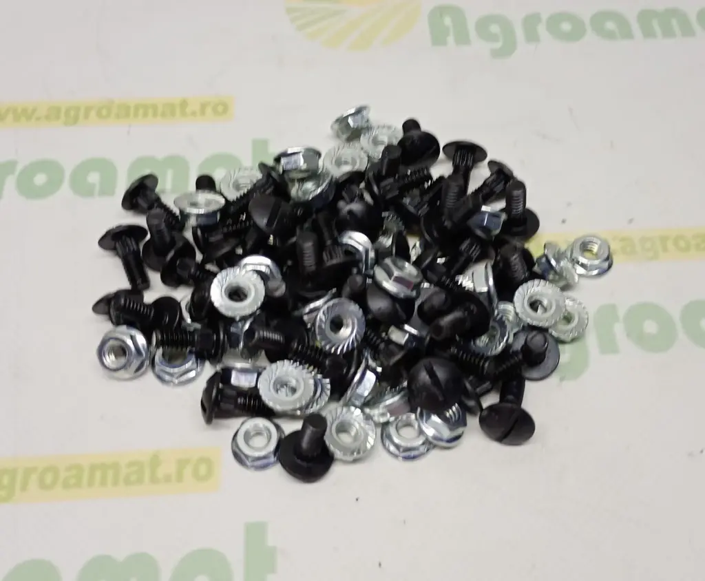 Surub + Piulita Lama Combina M6 (50-set)