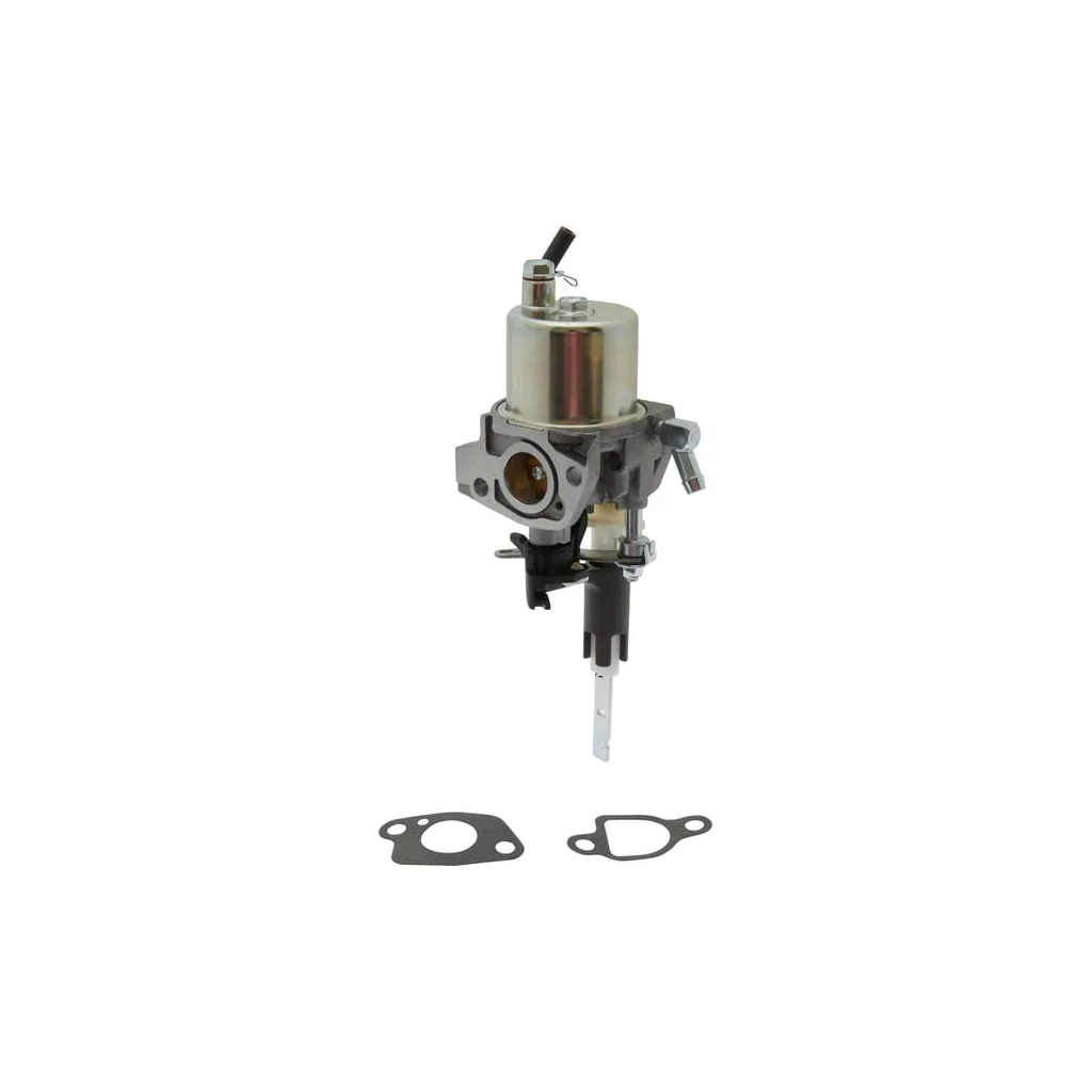 Carburator 587154101