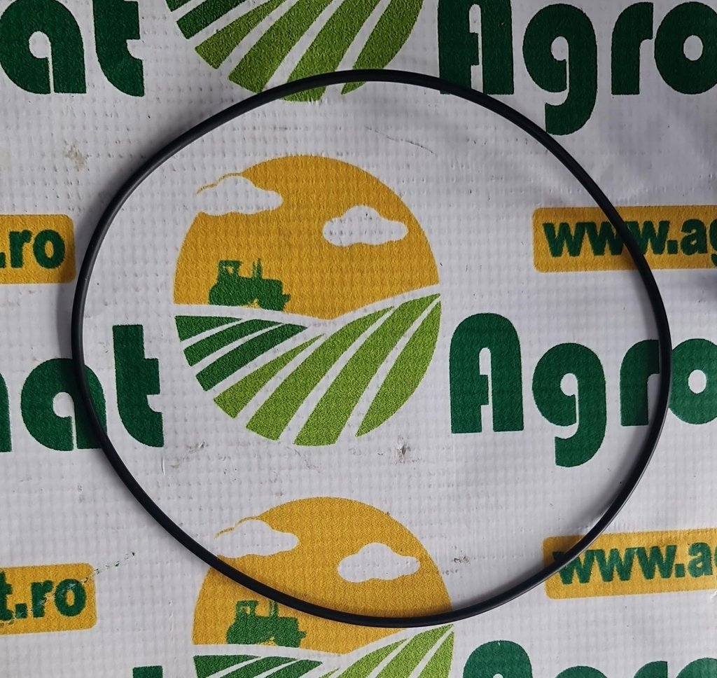 O-Ring 211099