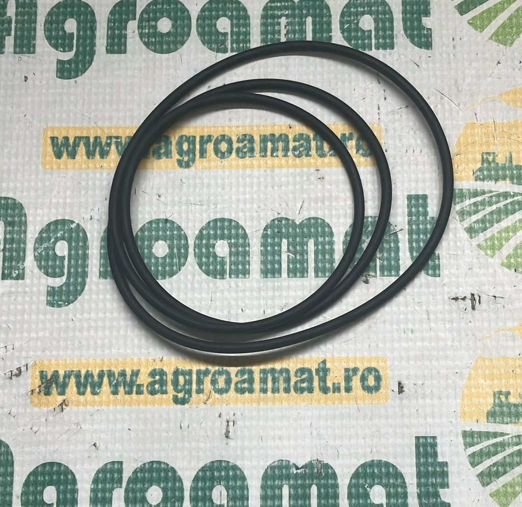 O-Ring