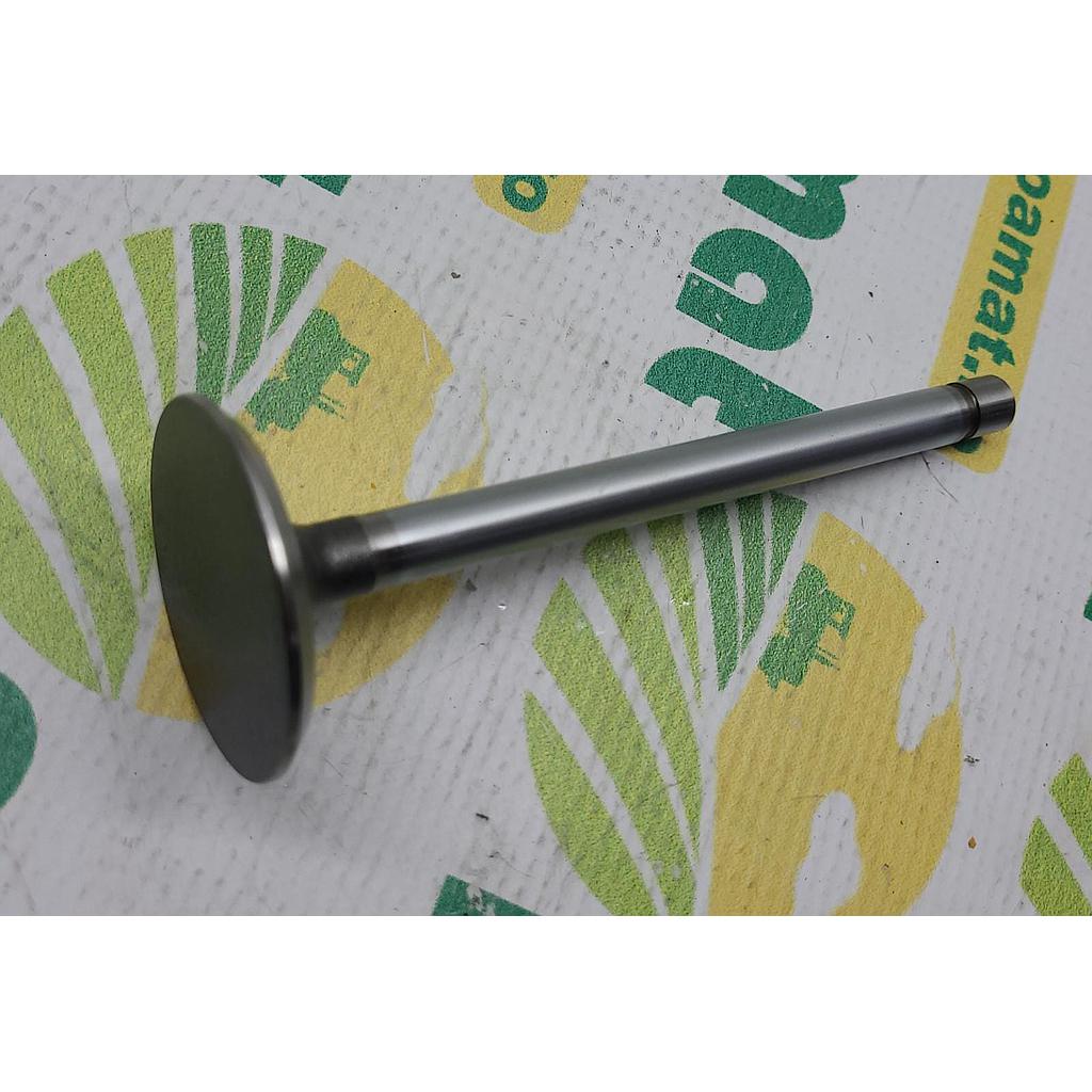 Supapa Admisie R52251