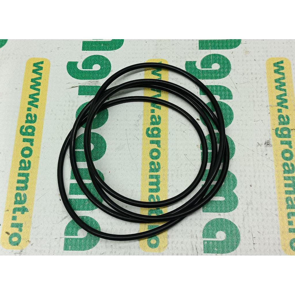 O-Ring 3617902M3