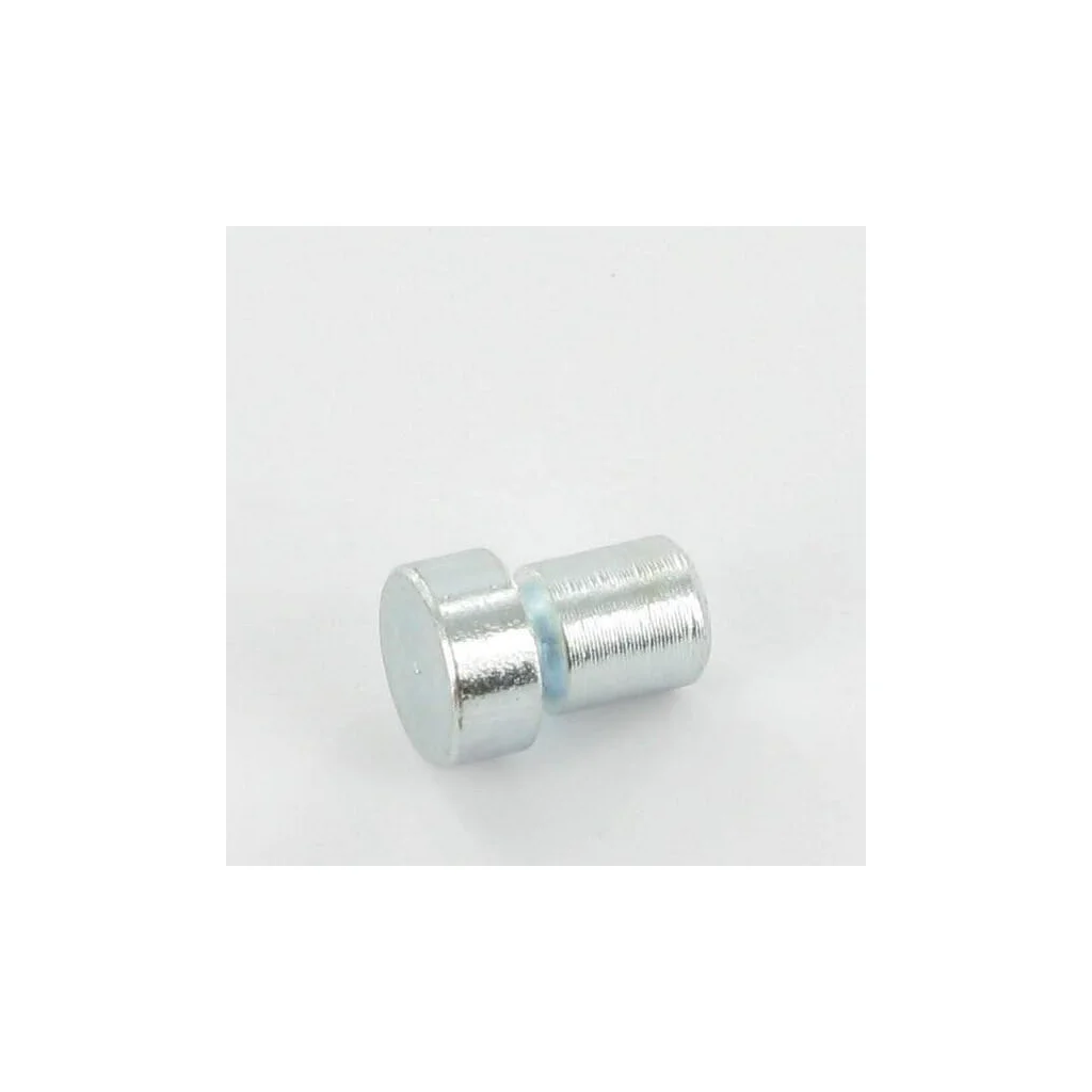 Bolt de forfecare 6x8mm, lungime 11mm 506966201