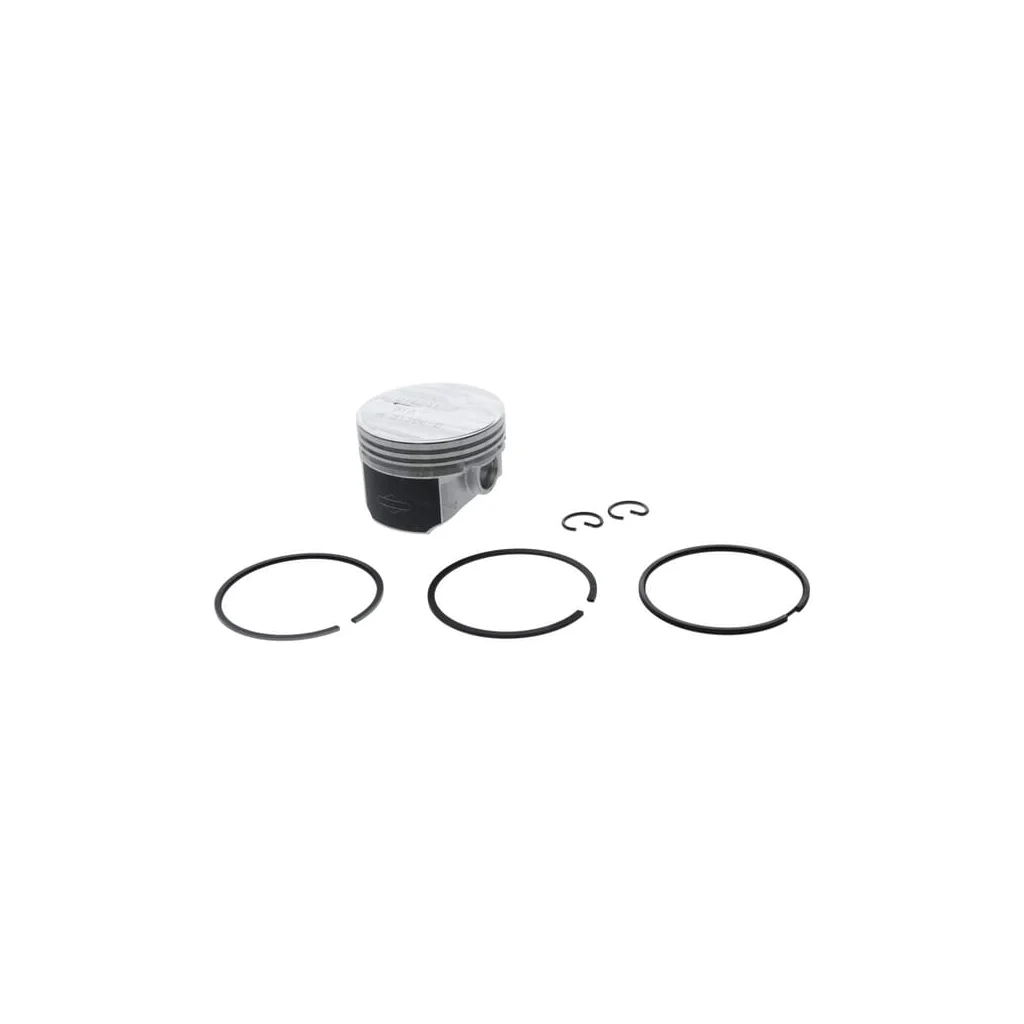 Ansamblu piston 010 557122
