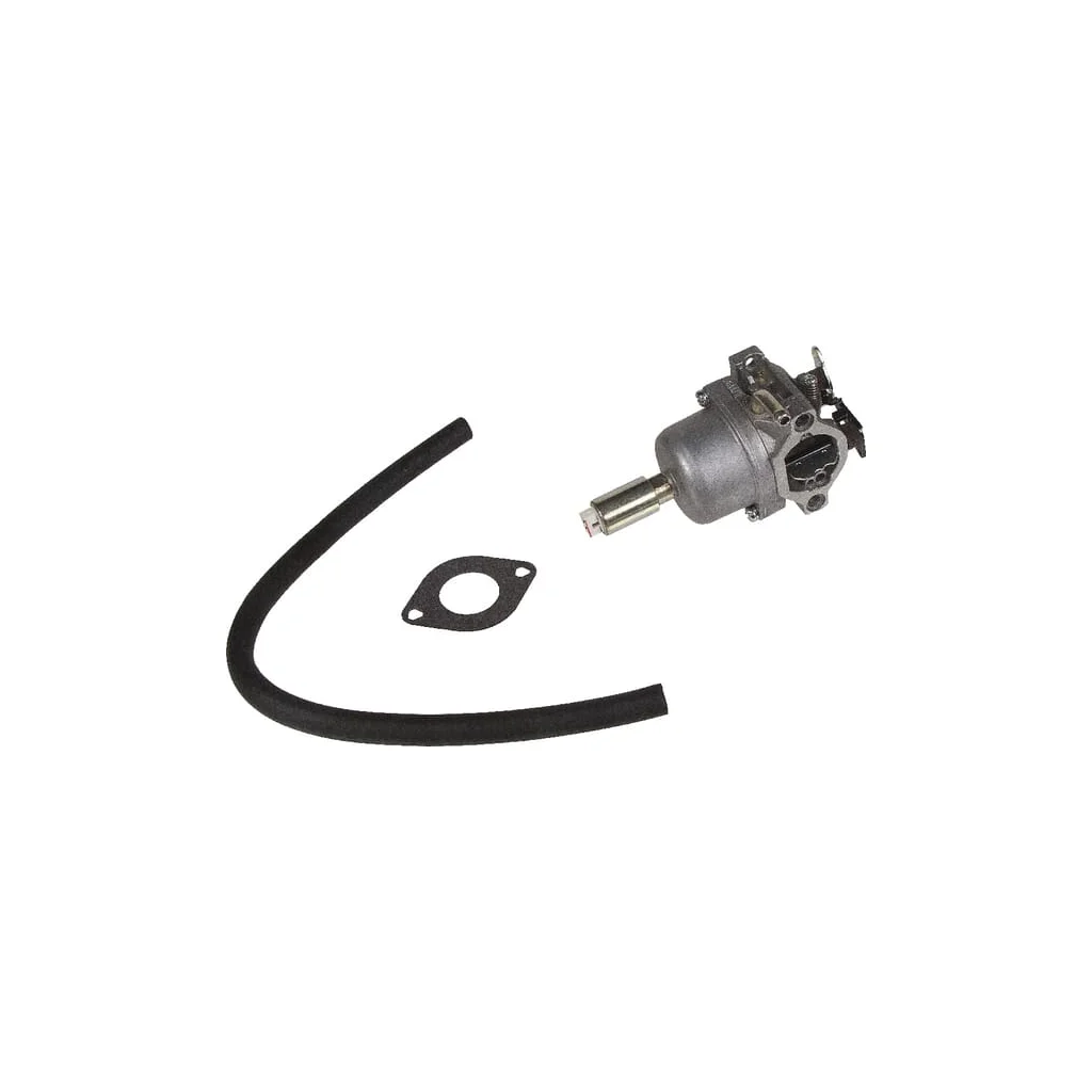 Carburator 590400