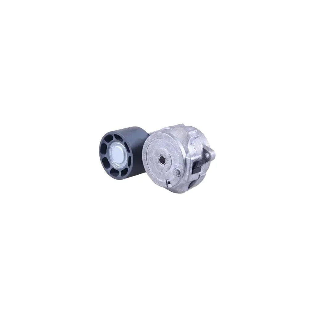 Întinzător curea 5802009515FPT