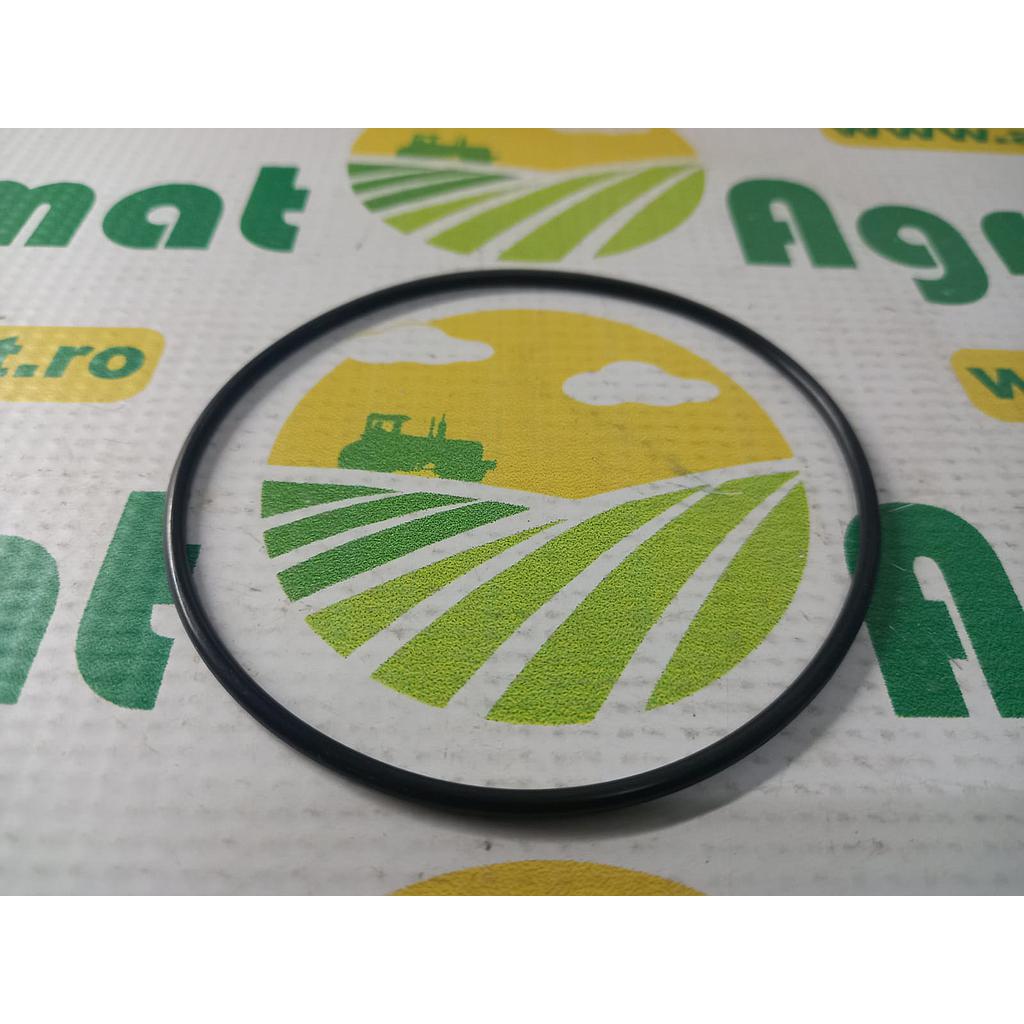 O-Ring 881012879