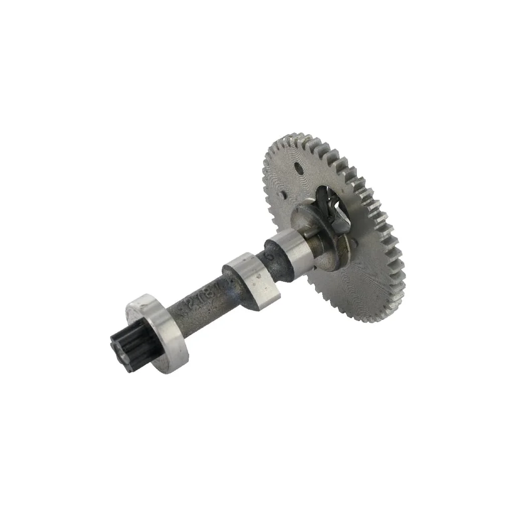 Roată dințată arbore cu came 590463