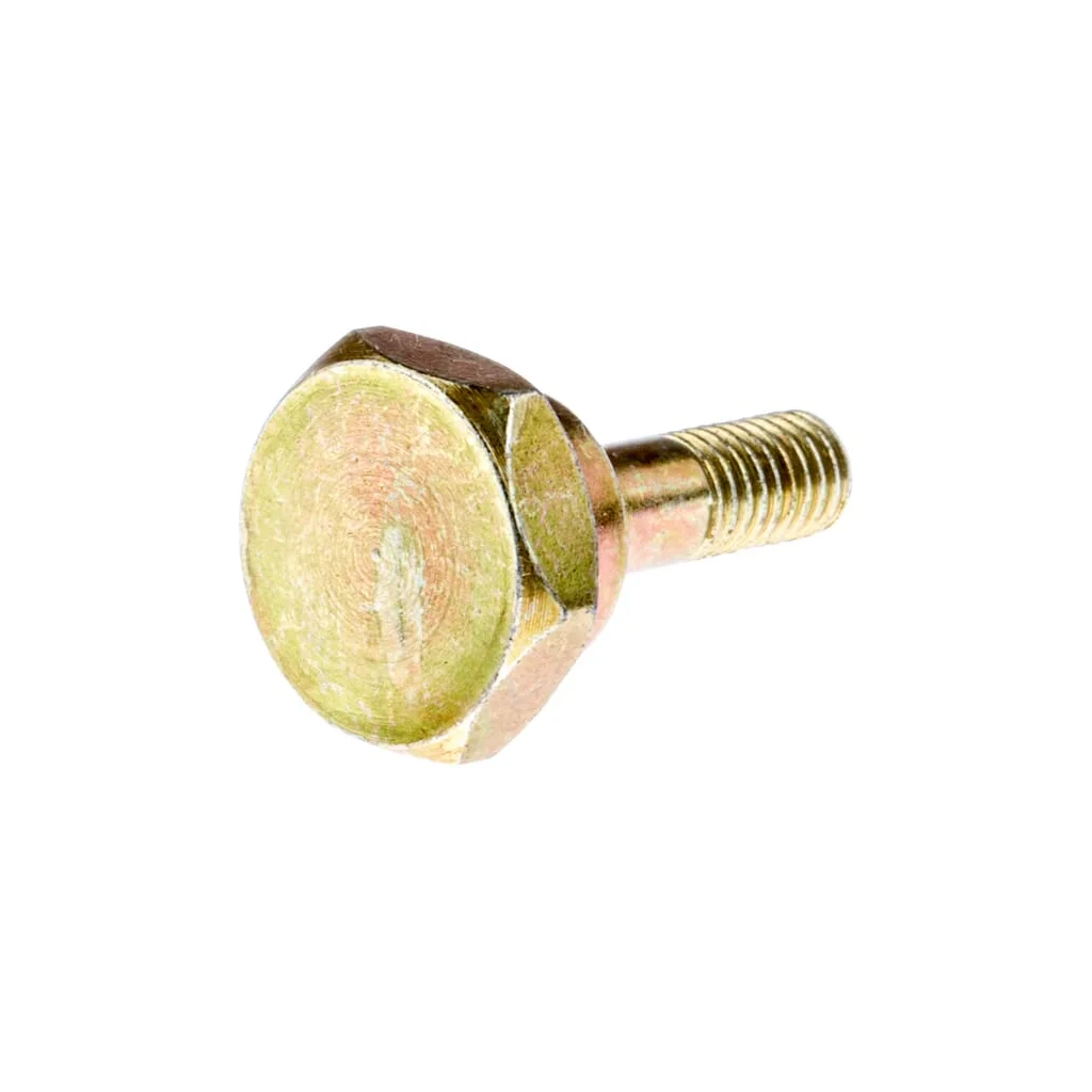 Șurub de forfecare 531005538