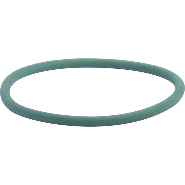 O'ring 17290081