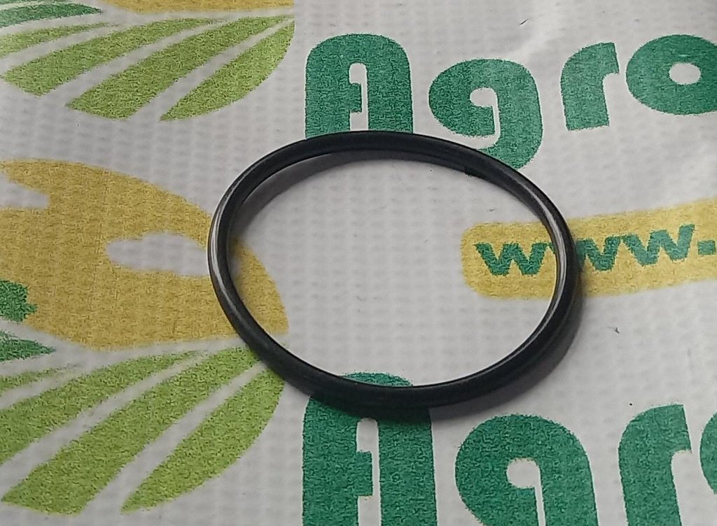 O-Ring 