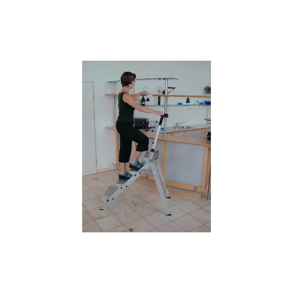 Trepte pliabile cu suport, 4 nivele 53104GST