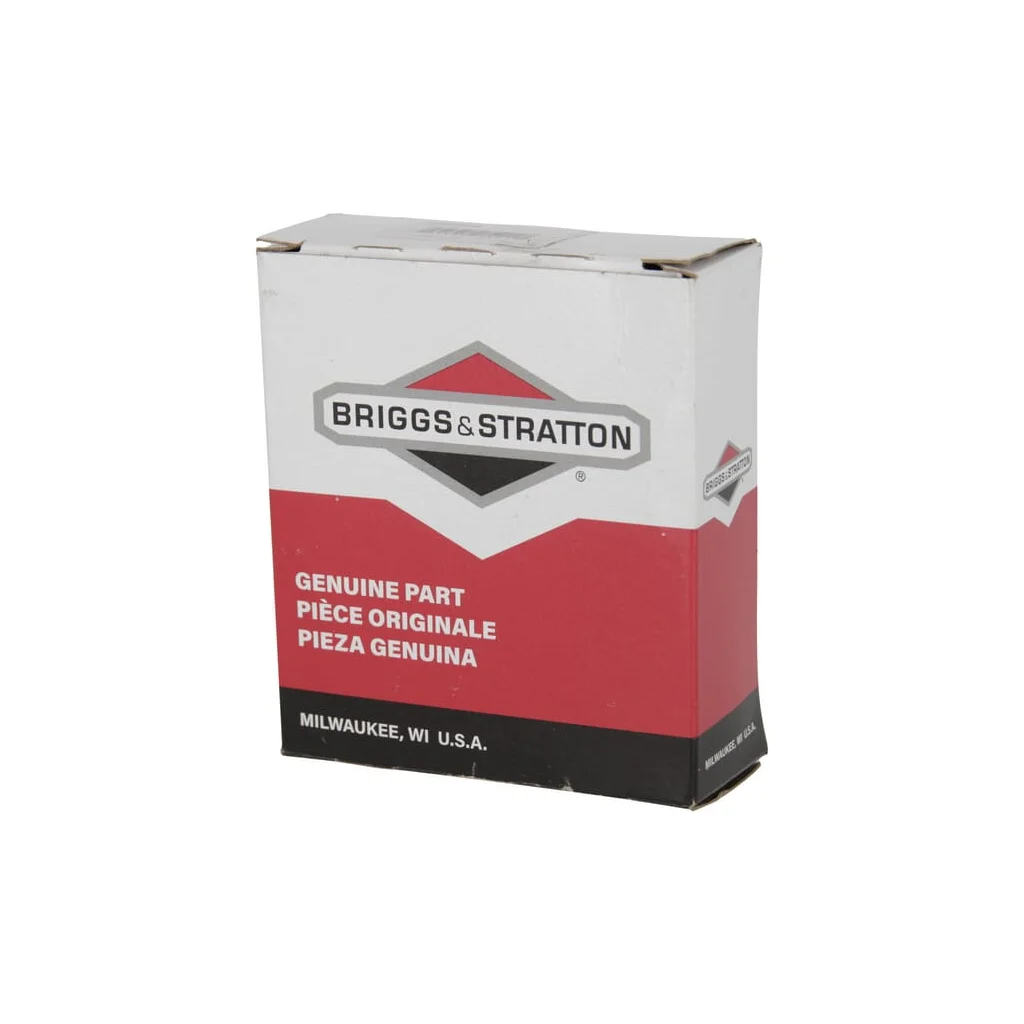 Set segment piston 594098