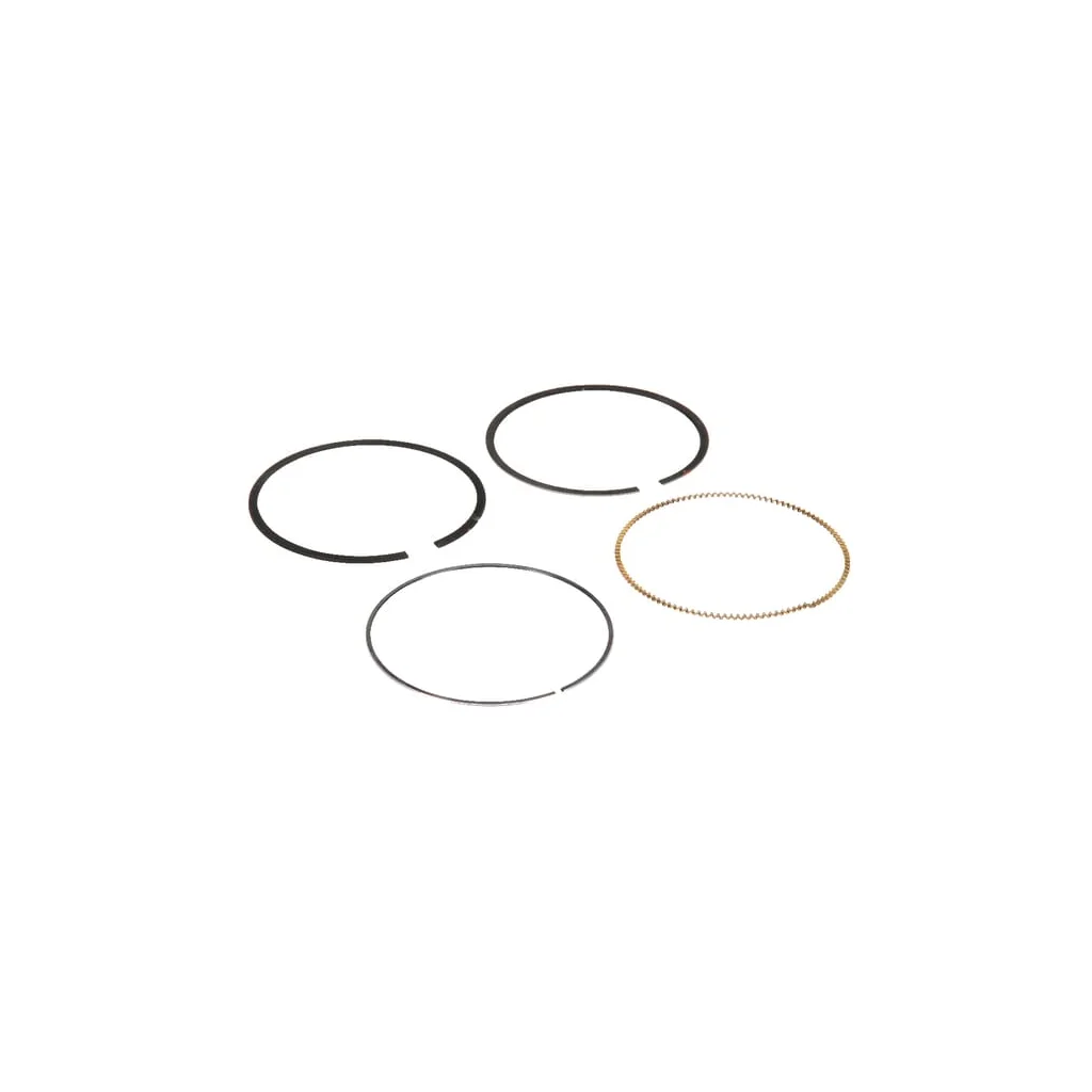 Set segmente piston 594437