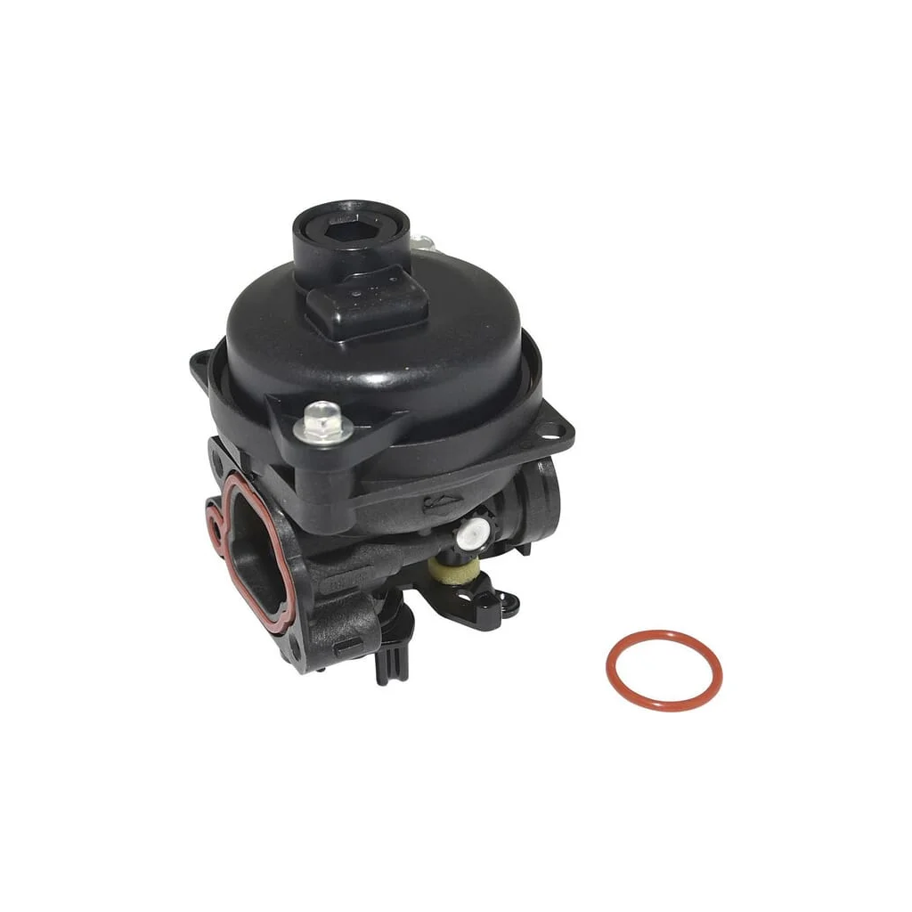 Carburator 594796