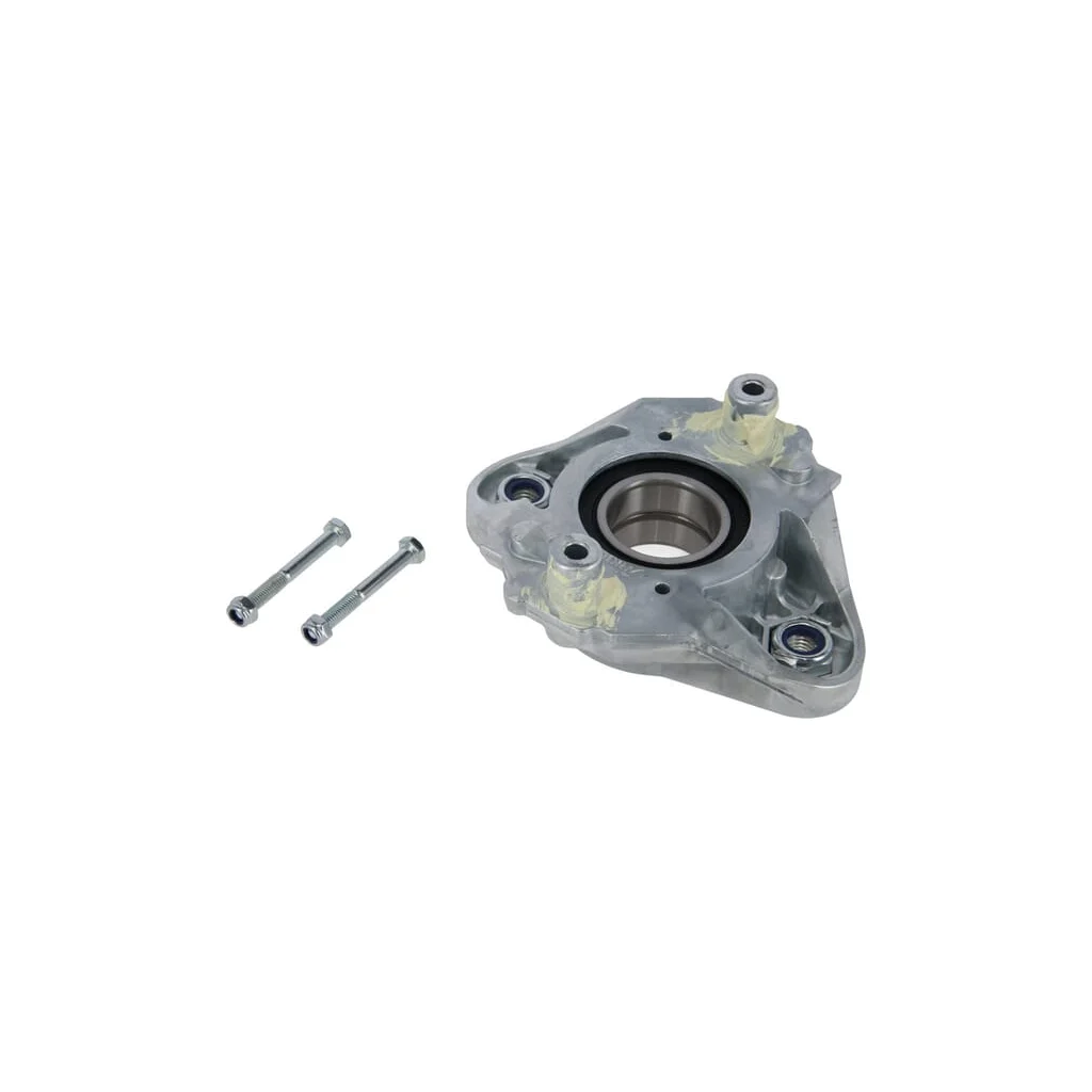 Dispozitiv de montare 61071602601