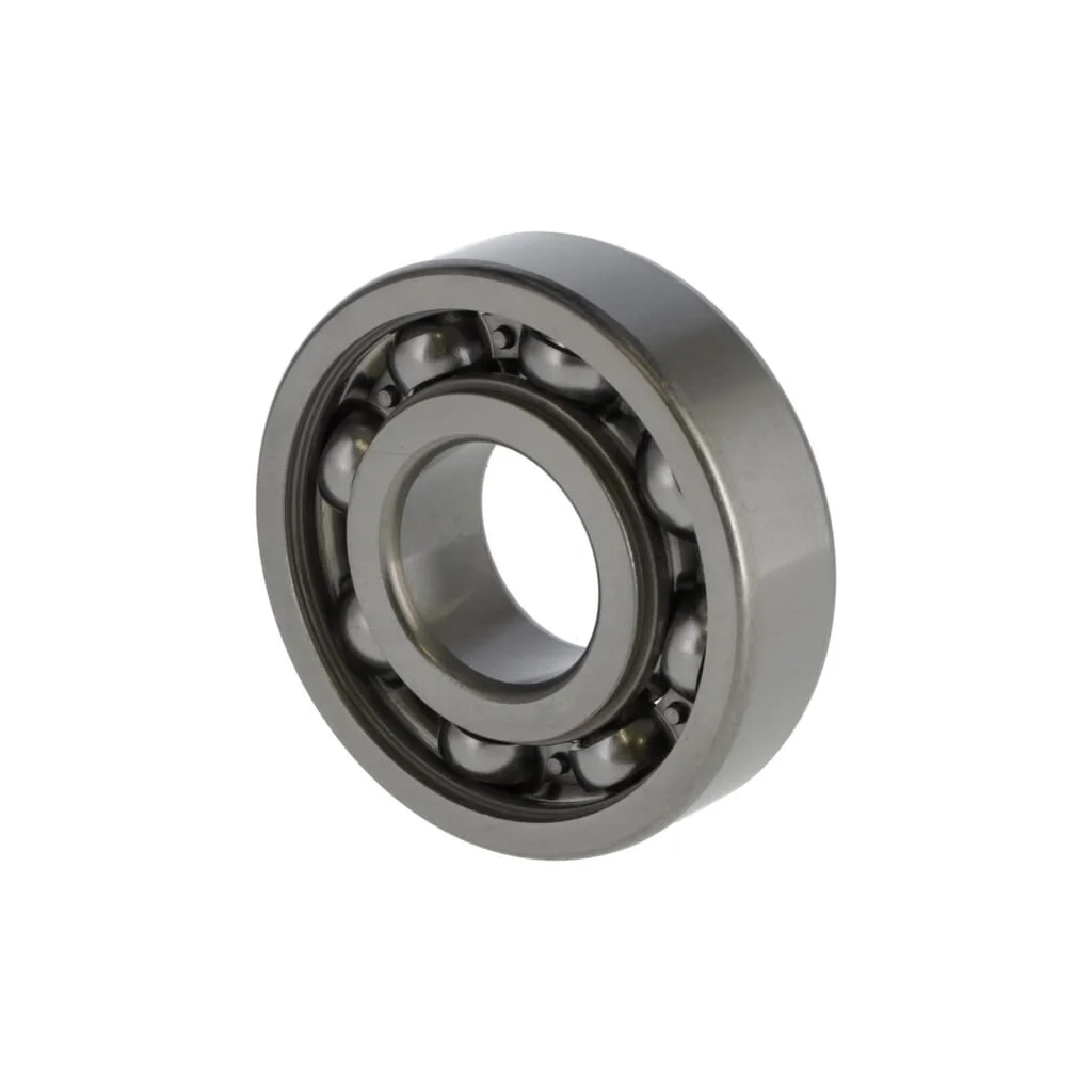 Rulment 580398001