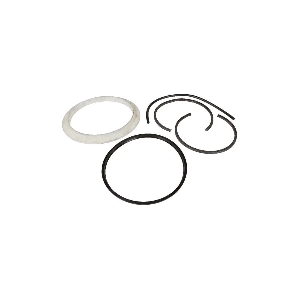 Kit de întreținere garnitură 10" Battioni Pagani 6080200282