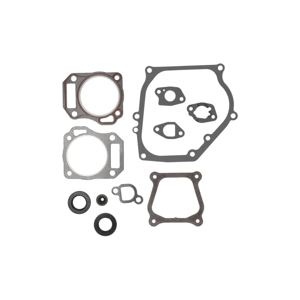 Set de garnituri motor 594951