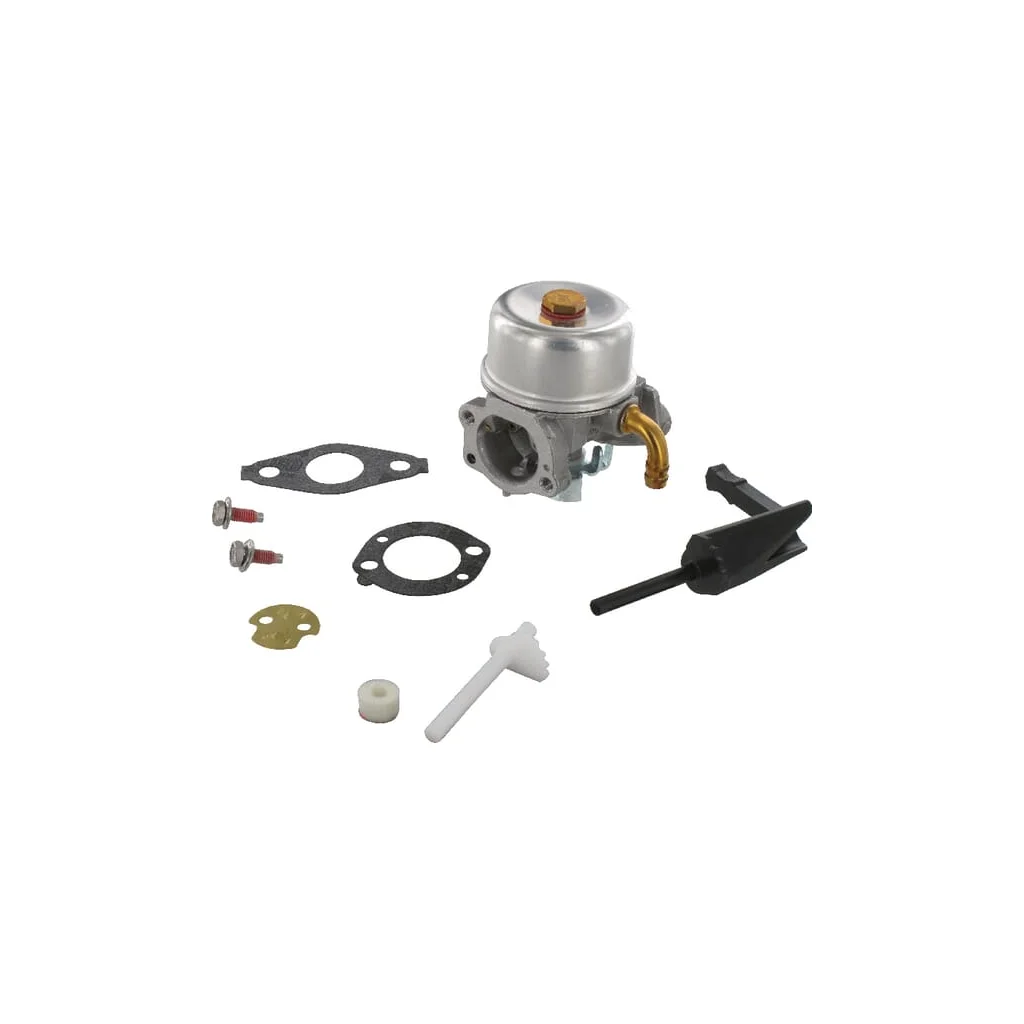 Carburator 591299