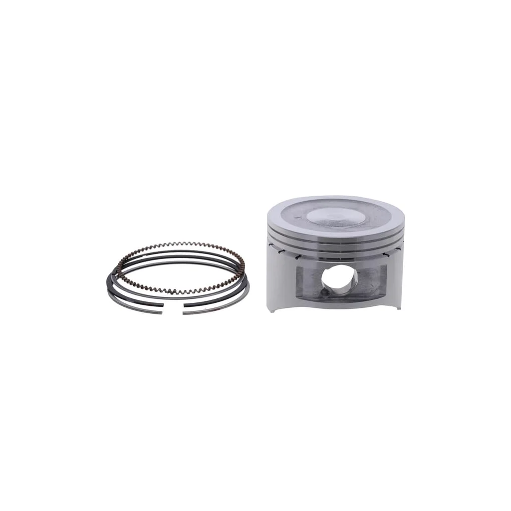 Ansamblu piston 594235