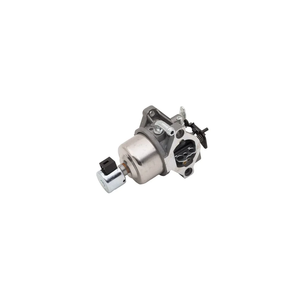 Carburator 594597