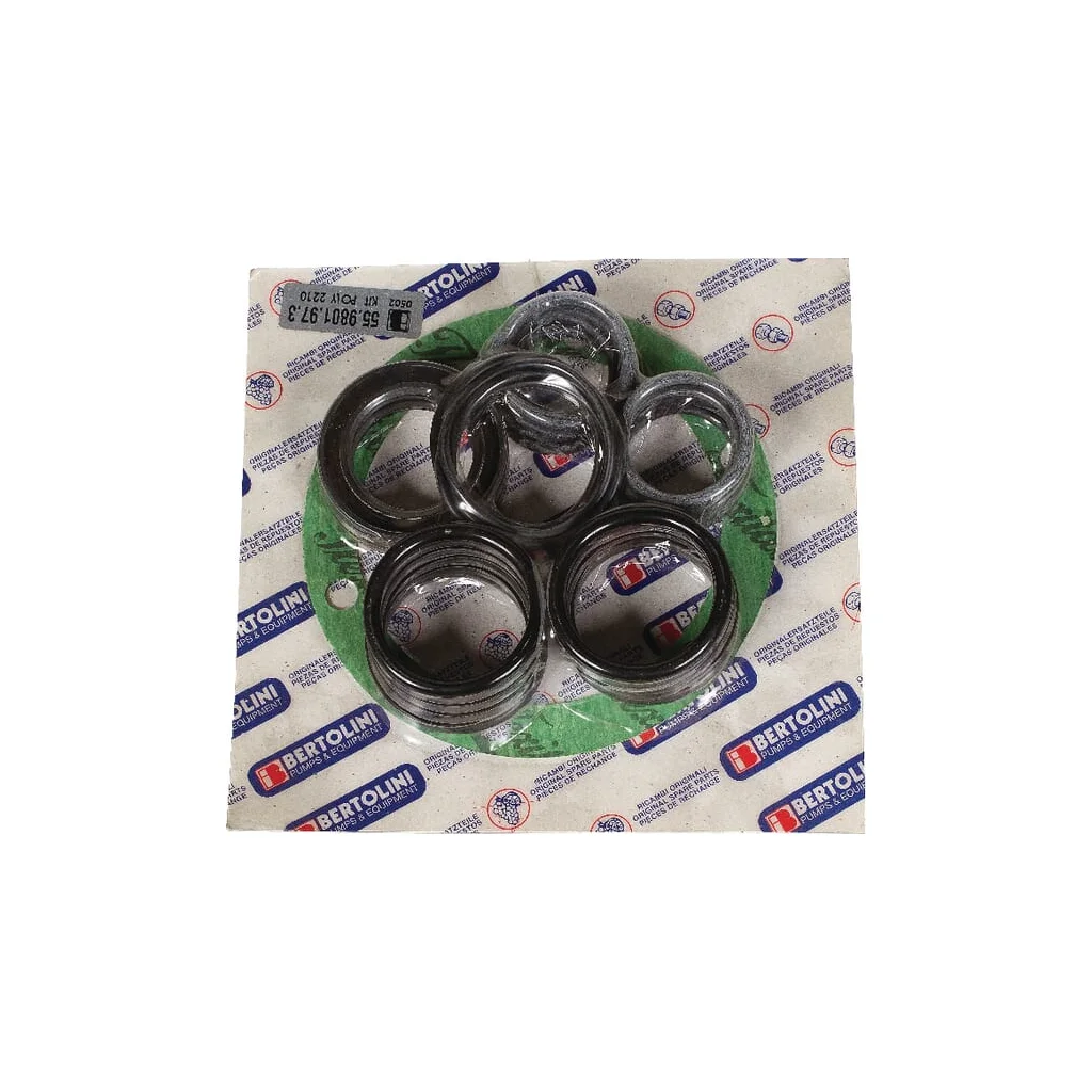 Set piese de rezervă pompă Bertolini 559801973