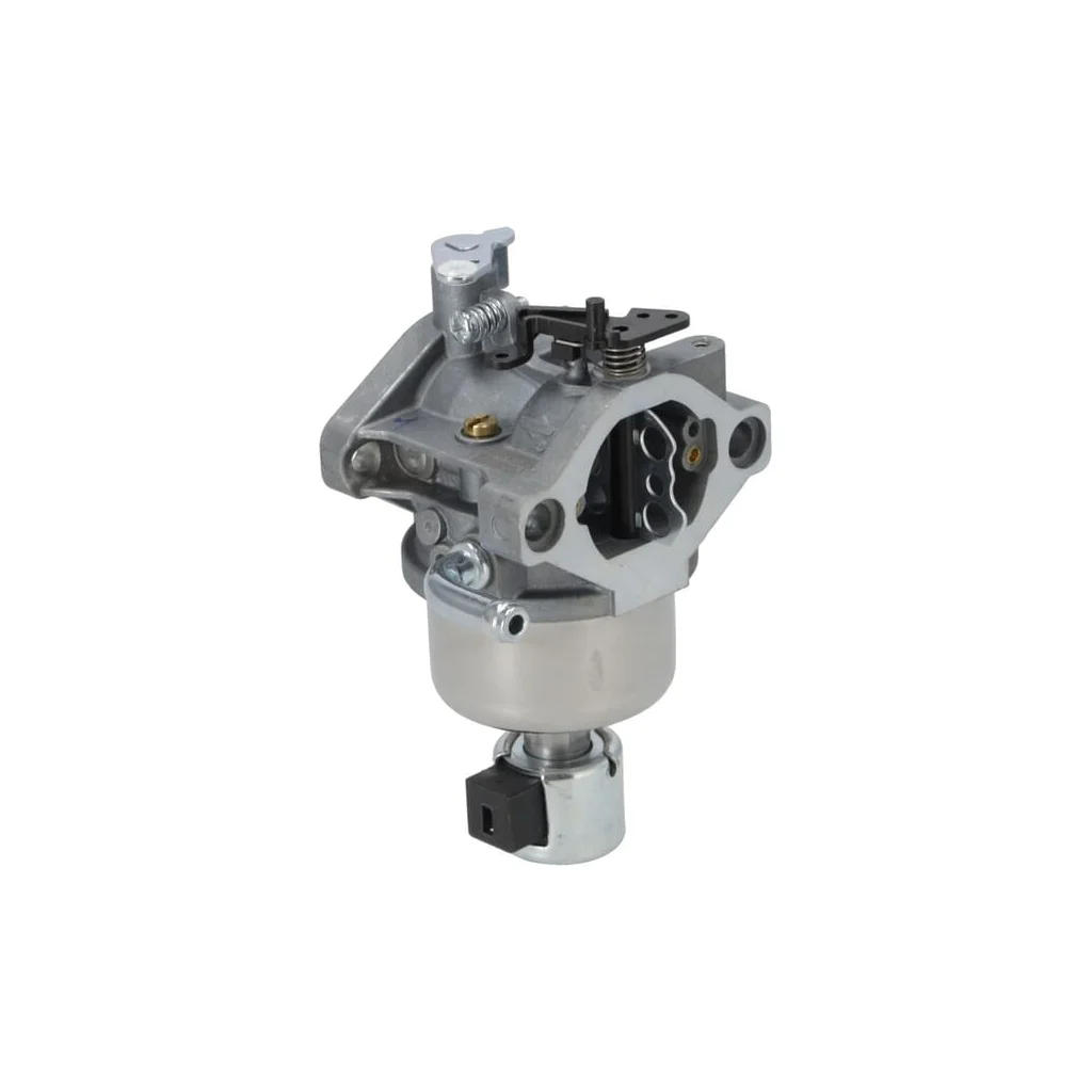 Carburator 594605