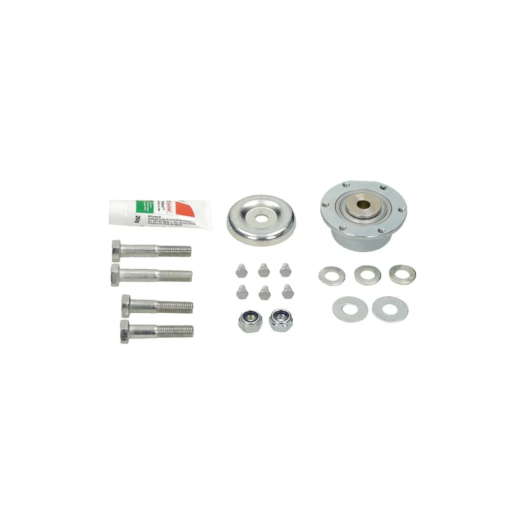 Rulment complet DS D52/25x20,6 5821020
