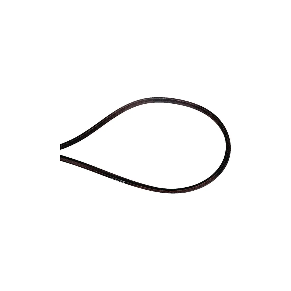 Curea de transmisie trapezoidală (AYP) mecanism de pornire 584362301